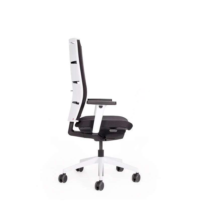 2026 Ergonomic office chair Agilis Matrix MT12 with mesh backrest and slow tilt, special edition, pure black (edition 2025).