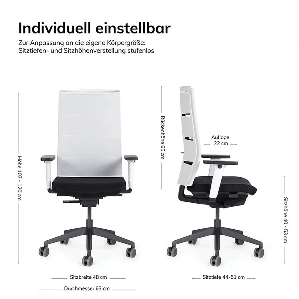 2026 Ergonomic office chair Agilis Matrix MT12 with mesh backrest and slow tilt, special edition, pure black (edition 2025).