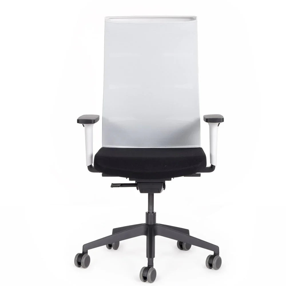 2026 Ergonomic office chair Agilis Matrix MT12 with mesh backrest and slow tilt, special edition, pure black (edition 2025).