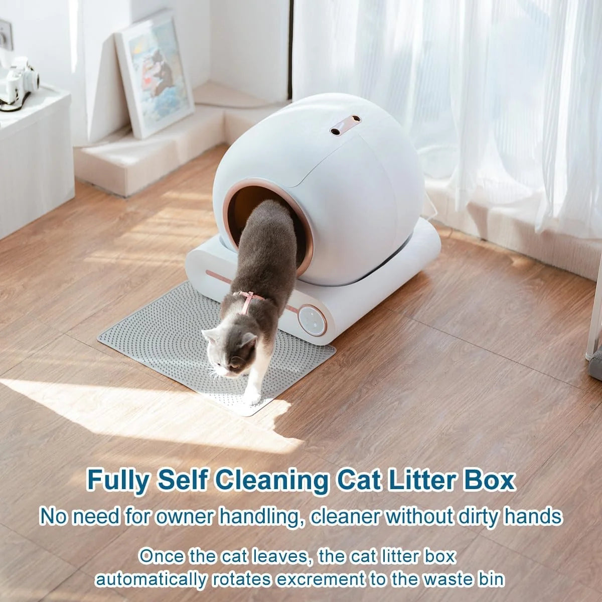 2026 Megonia 65L Automatic Self-Cleaning Cat Litter Box with Wi-Fi App Control