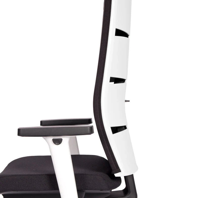 2026 Ergonomic office chair Agilis Matrix MT12 with mesh backrest and slow tilt, special edition, pure black (edition 2025).