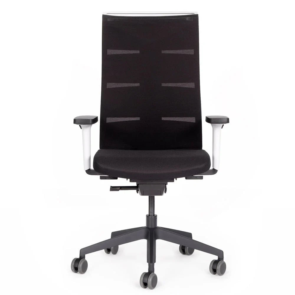 2026 Ergonomic office chair Agilis Matrix MT12 with mesh backrest and slow tilt, special edition, pure black (edition 2025).