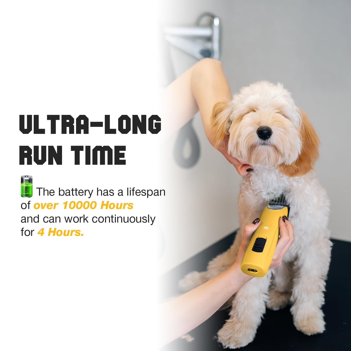 Professional Dog Grooming Clippers 2-Speed Detachable 10# Blade Metal Guide Combs Kit for Thick Curly Coats Horse Animal Breeds Cats Low Noise Cordless Heavy Duty Pet Hair Trimmer Bluewave