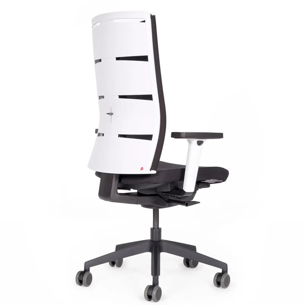 2026 Ergonomic office chair Agilis Matrix MT12 with mesh backrest and slow tilt, special edition, pure black (edition 2025).
