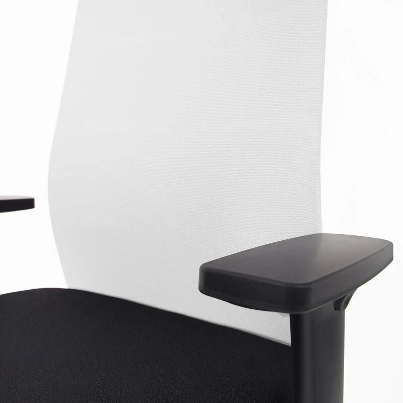 2026 Ergonomic office chair Agilis Matrix MT12 with mesh backrest and slow tilt, special edition, pure black (edition 2025).