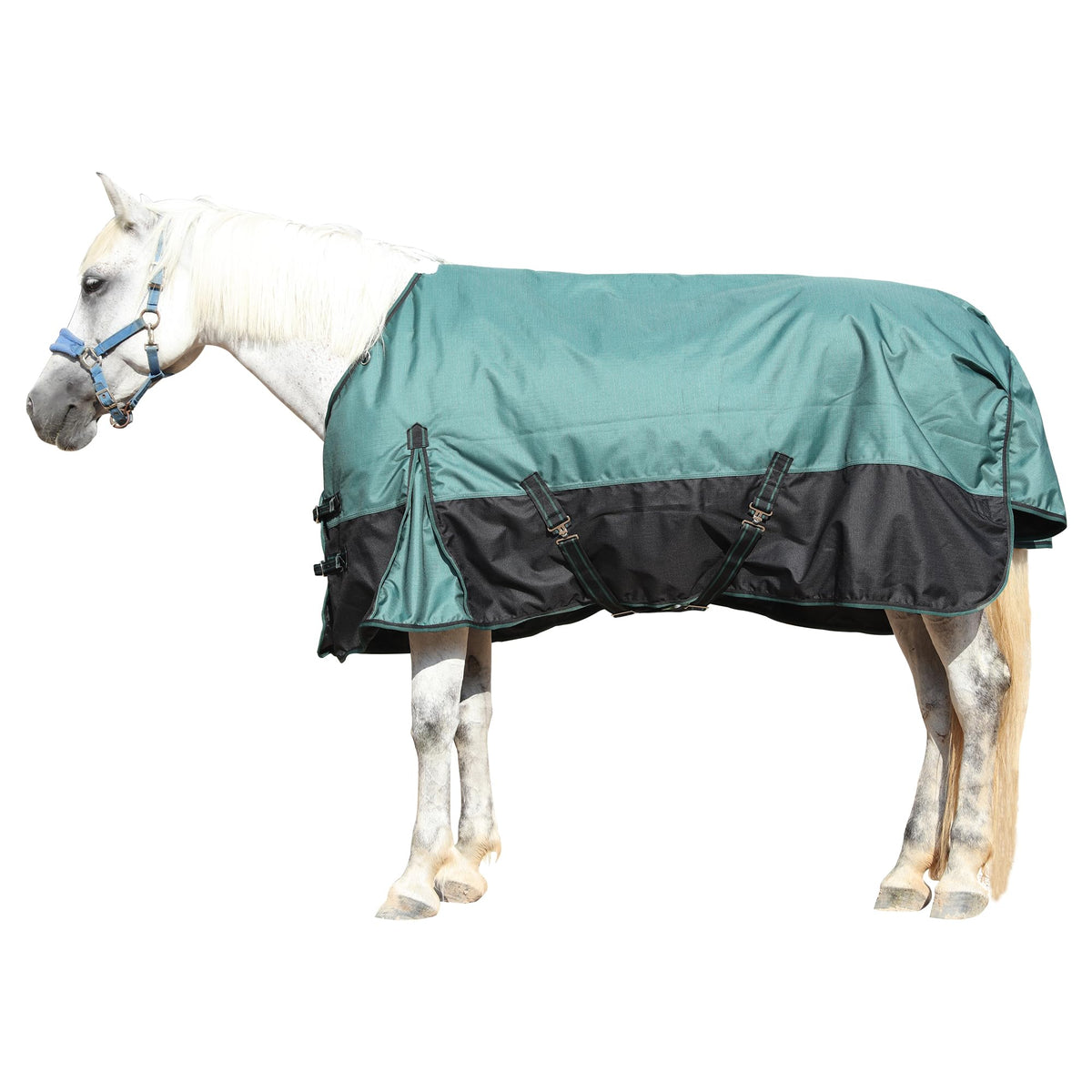 1200D Horse Blanket, 200g Medium Weight Waterproof Winter Turnout 1200D Ripstop Outer, Waterproof Breathable Shell, Anti-Rub Lining, 200g Insulation, Keep Dry in Snow & Cold, Large Tail Flap