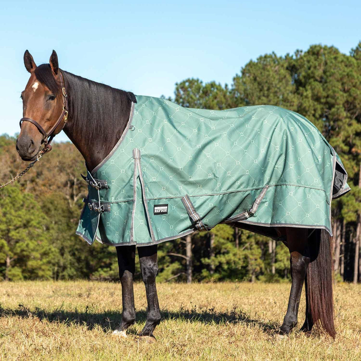 Jeffers 1200D Standard Neck Turnout Blanket, 240G, 69" - Spruce Stirrup Horse Blanket with Criss Cross Surcingle and Hind Leg Straps | Waterproof & Breathable | Medium Weight Weather Protection