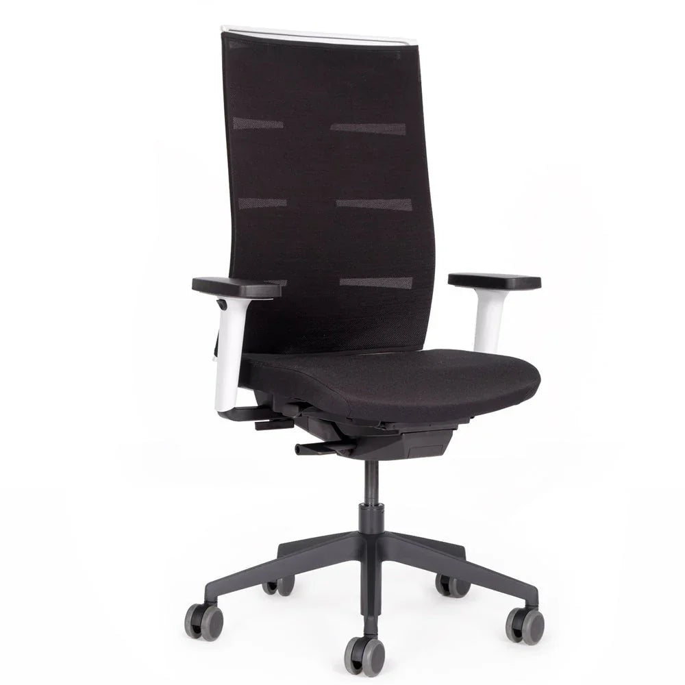 2026 Ergonomic office chair Agilis Matrix MT12 with mesh backrest and slow tilt, special edition, pure black (edition 2025).
