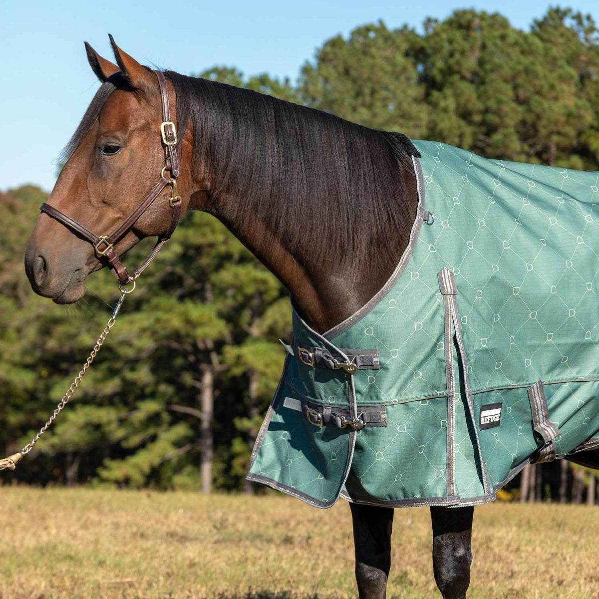 Jeffers 1200D Standard Neck Turnout Blanket, 240G, 69" - Spruce Stirrup Horse Blanket with Criss Cross Surcingle and Hind Leg Straps | Waterproof & Breathable | Medium Weight Weather Protection