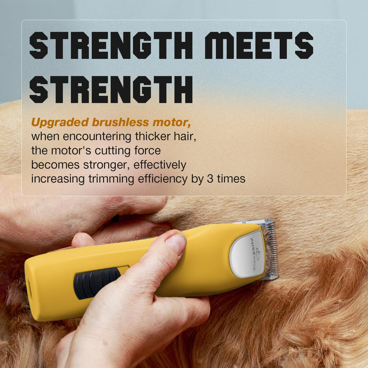 Professional Dog Grooming Clippers 2-Speed Detachable 10# Blade Metal Guide Combs Kit for Thick Curly Coats Horse Animal Breeds Cats Low Noise Cordless Heavy Duty Pet Hair Trimmer Bluewave