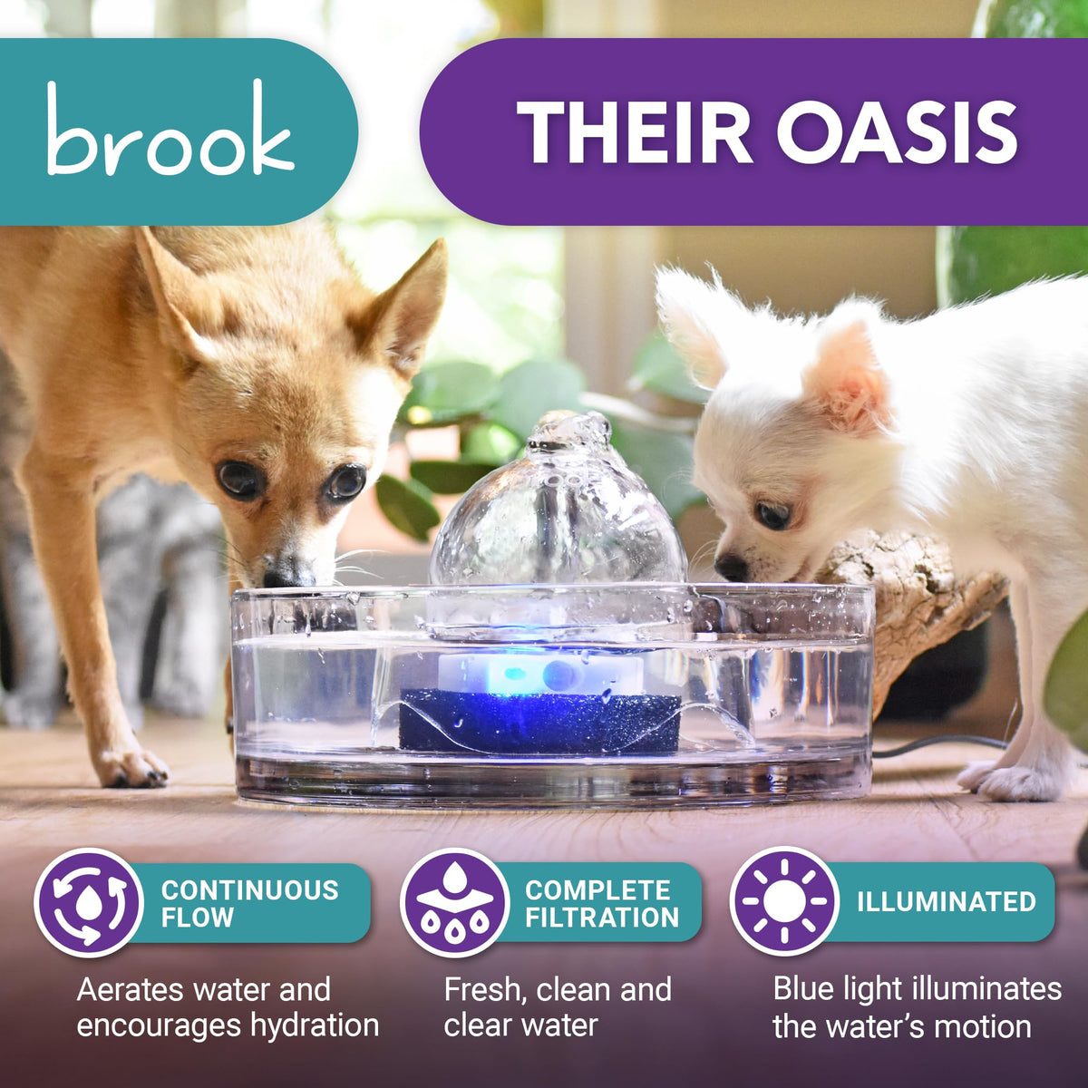 Brook Glass Cat Water Fountain 90oz – Dishwasher Safe Pet & Dog Fountain Automatic 2.7L drinking water dispenser – quiet, easy to clean glass bowl, filters included – for indoor cats, kittens & dogs
