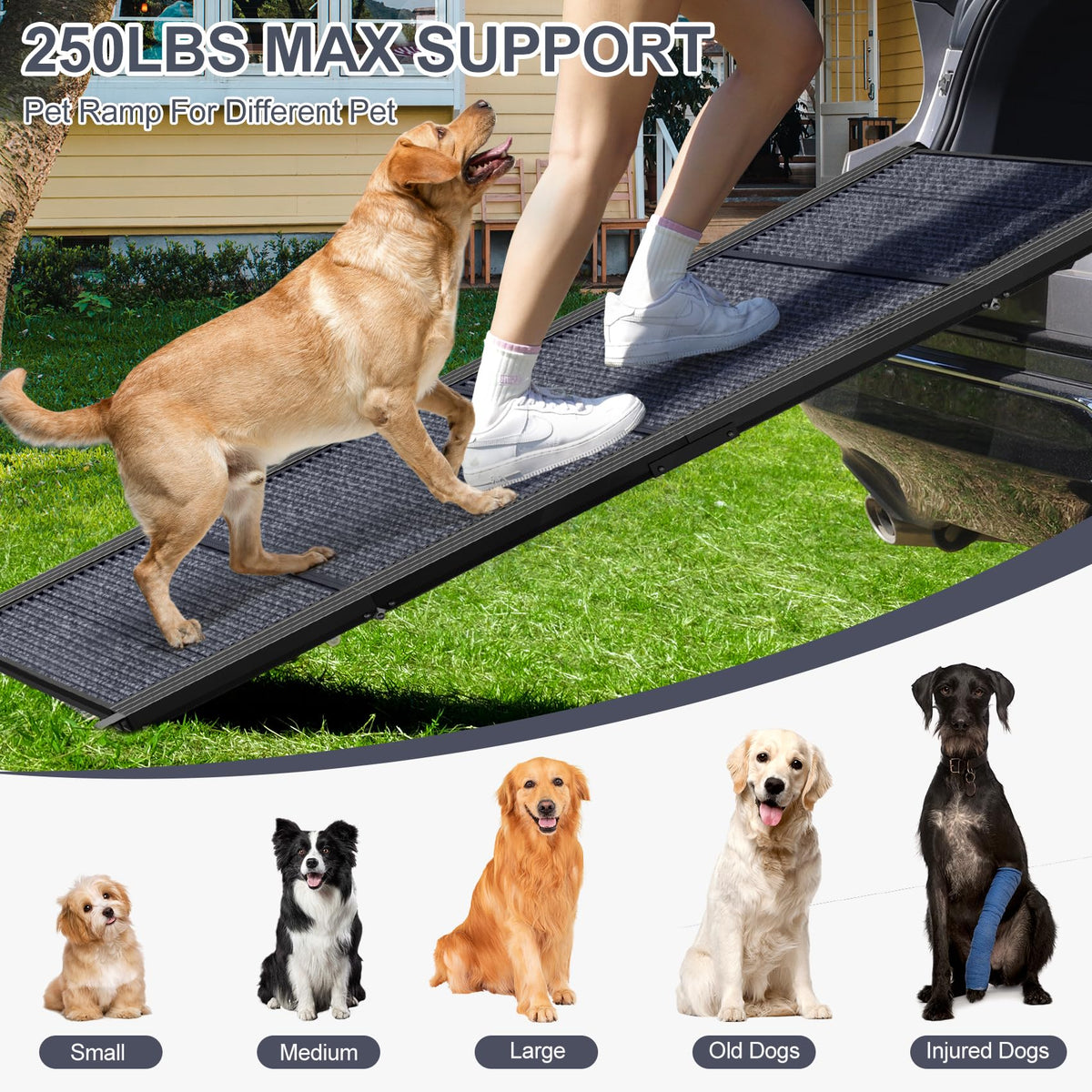 Dog Ramp for Car 63" L × 17" W, Pet Ramp for Truck Foldable Dog Ramps for Large Dogs, Non-Slip Rug Surface, Gentler & Safer Climb, 270 lbs Capacity, Easy to Carry & Store, Outdoor Ramp
