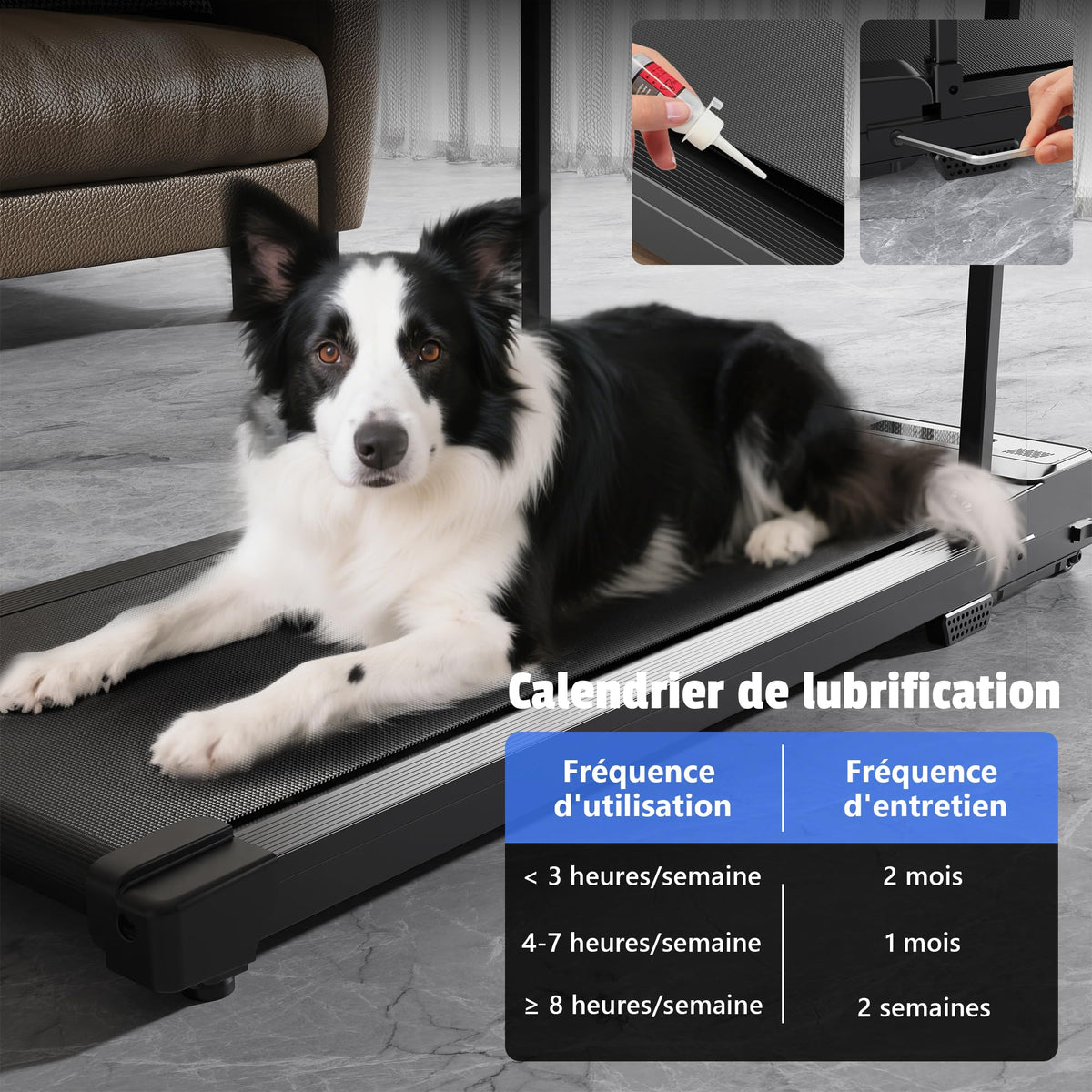 Walking Pad Treadmill for Home,Treadmills Under Desk with Handle Bar Foldable, Portable Caminadora Eléctrica para Casa, Small Mini Compact Exercise Equipment Office Space Jet Black 02 Upgrade