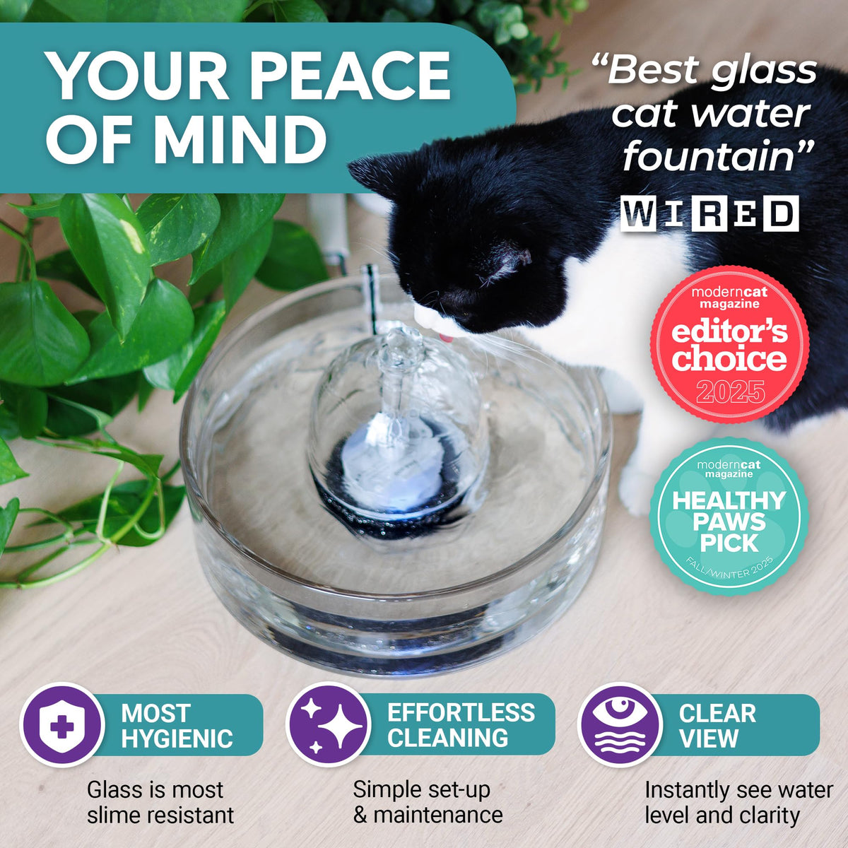 Brook Glass Cat Water Fountain 90oz – Dishwasher Safe Pet & Dog Fountain Automatic 2.7L drinking water dispenser – quiet, easy to clean glass bowl, filters included – for indoor cats, kittens & dogs