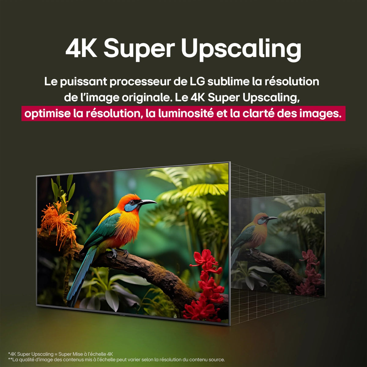 2026 LG TV QNED AI 2025