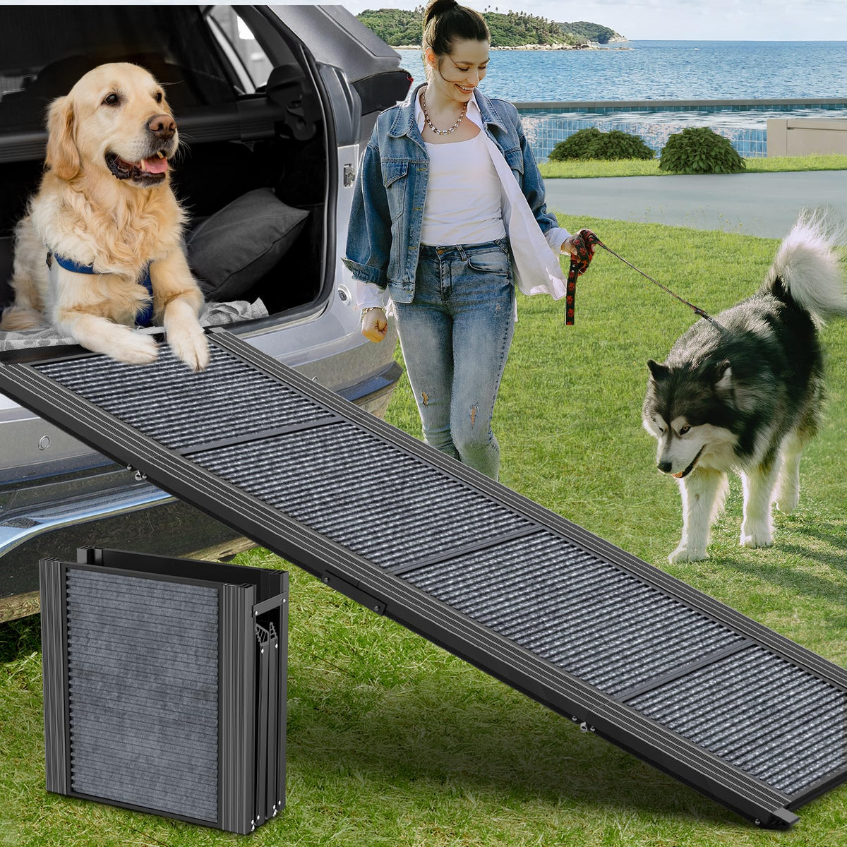 Dog Ramp for Car 63" L × 17" W, Pet Ramp for Truck Foldable Dog Ramps for Large Dogs, Non-Slip Rug Surface, Gentler & Safer Climb, 270 lbs Capacity, Easy to Carry & Store, Outdoor Ramp