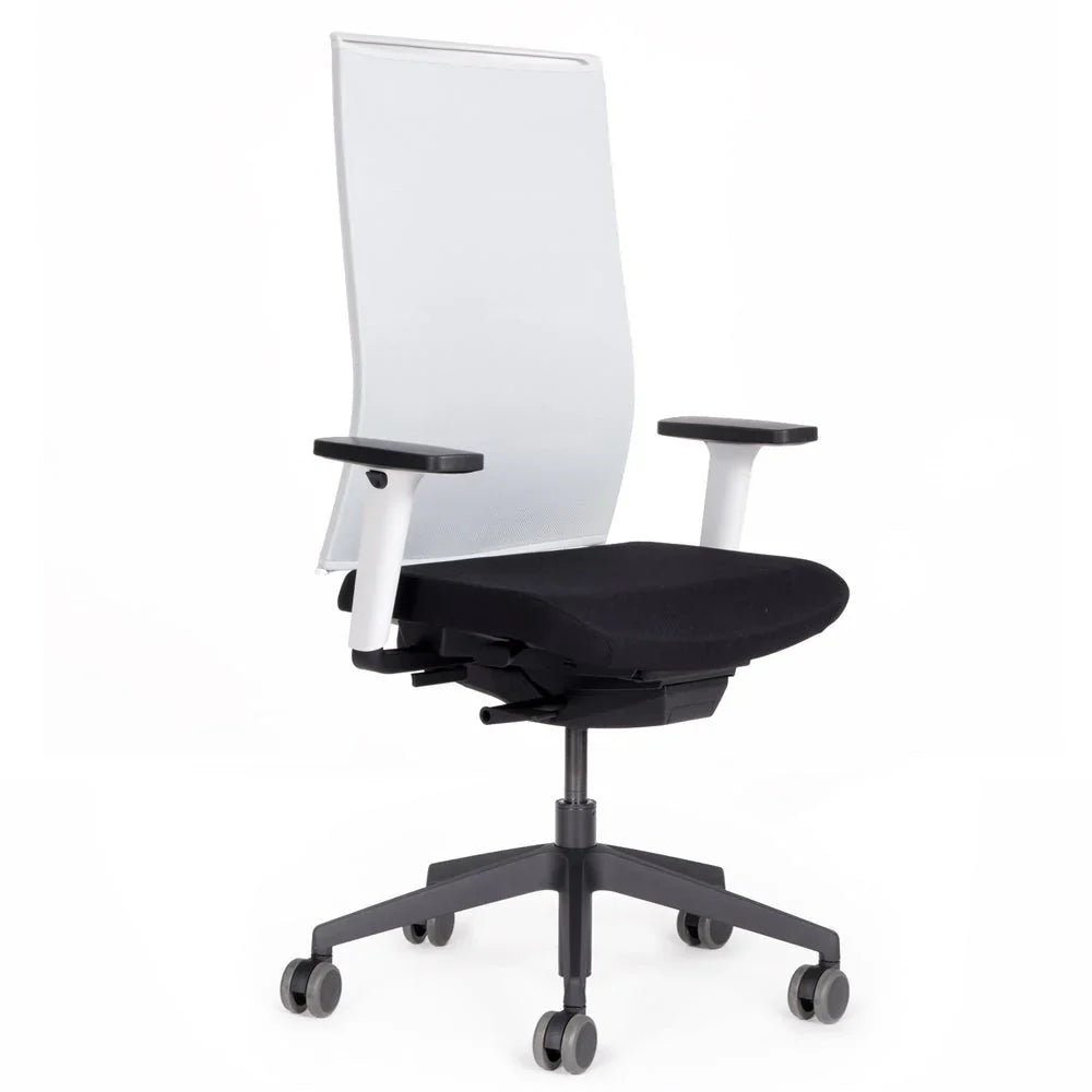 2026 Ergonomic office chair Agilis Matrix MT12 with mesh backrest and slow tilt, special edition, pure black (edition 2025).