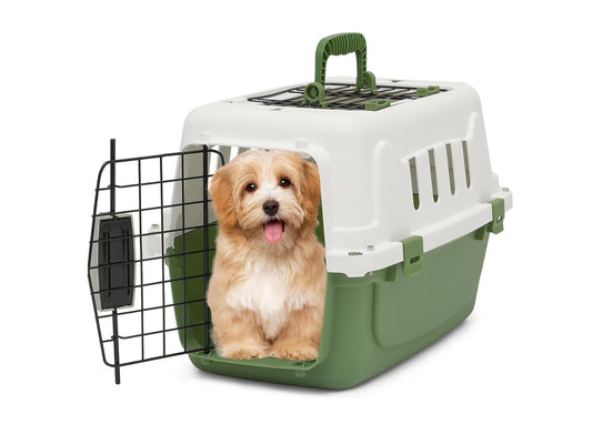 18-Inch 2-Door Top Loading Cat Carrier, Plastic Dog Crate Hard-Sided Dog Travel Carrier for Small Dogs and Cats, Ventilation and Security Lock Design for Pets up to 10 lbs (Green)