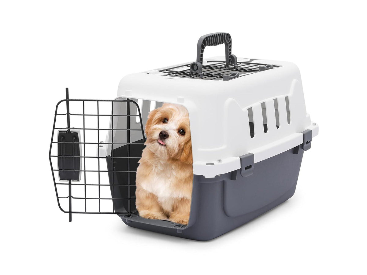 18-Inch 2-Door Top Loading Cat Carrier, Plastic Dog Crate Hard-Sided Dog Travel Carrier for Small Dogs and Cats, Ventilation and Security Lock Design for Pets up to 10 lbs (Grey)