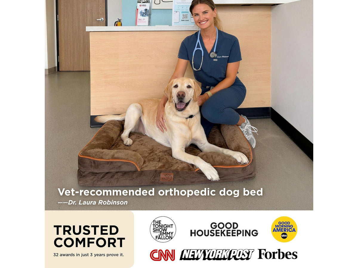 Self Warming Orthopedic Dogs Bed for Small Dogs - Washable Small Dog Bed Waterproof, Comfort Pet Couch with Removable Cover, Pets Sofa with Nonskid Bottom, Brown, Non-Electric