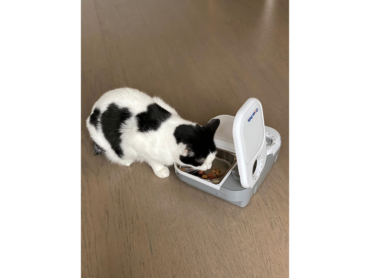 2-Meal Automatic Feeder, 400g Per Bowl, Wet & Dry Food, White | Programmable Digital Timer, 2 x 400g Bowls, Includes Ice Packs, For Cats & Small Dogs, No Apps or WiFi, Dishwaser-Safe