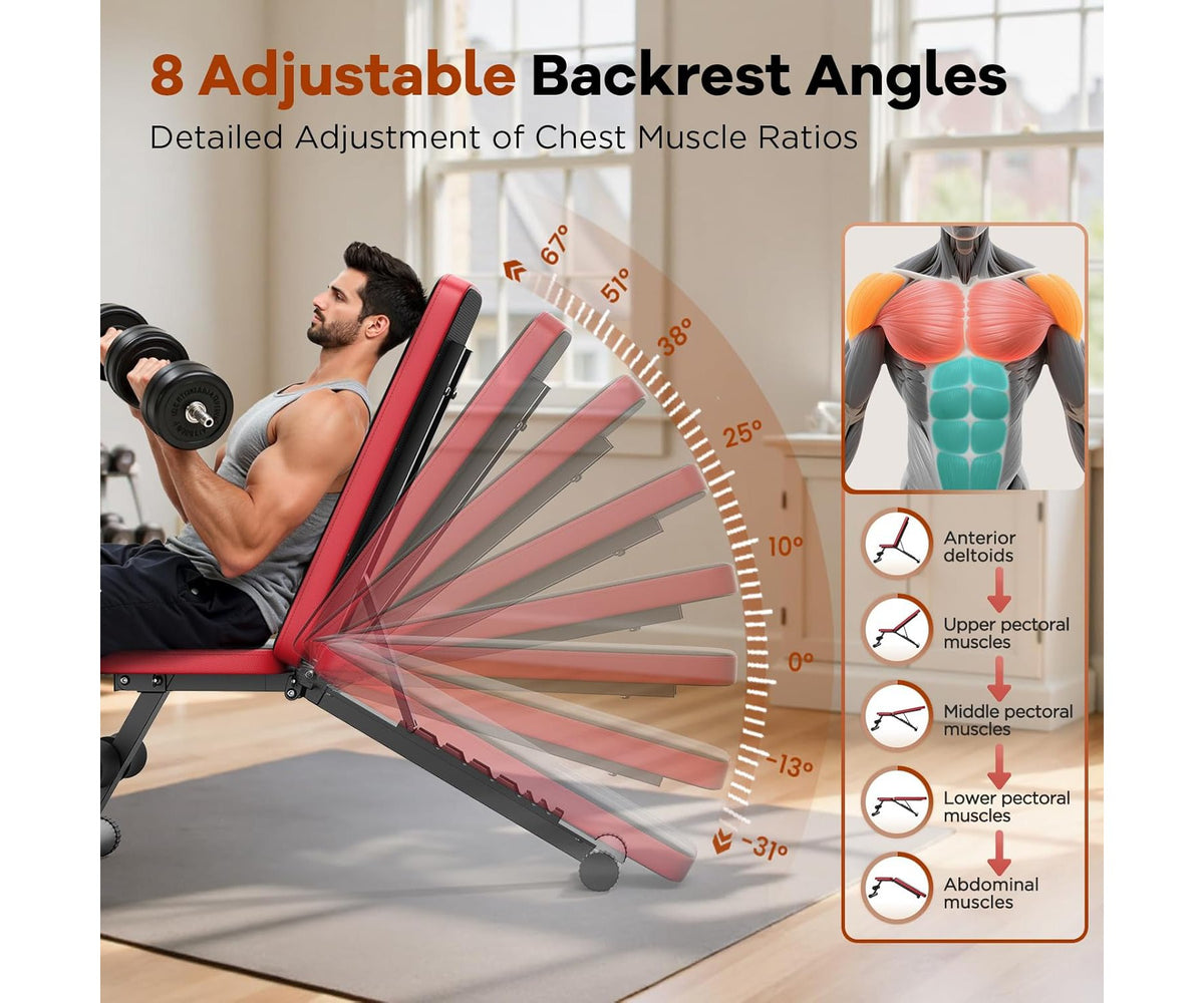 FED FITNESS Basic Adjustable Weight Bench for Home Gym, Foldable Workout Bench with 8 Backrests, 660LBS Weight Capacity