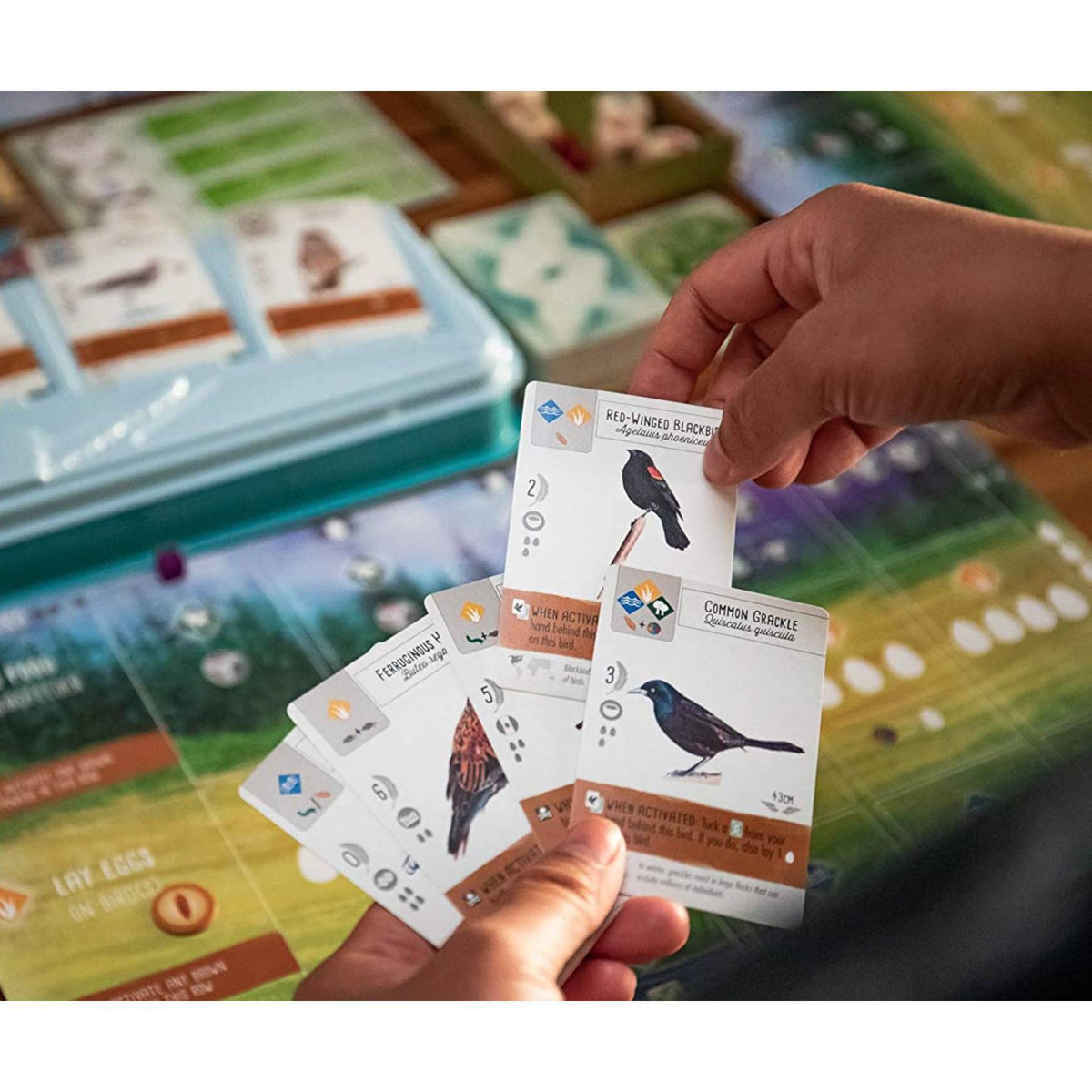 Stonemaier Wingspan with Swift Start Game Pack: Strategy Board Game for 1-5 Players, Includes Dice & Tokens