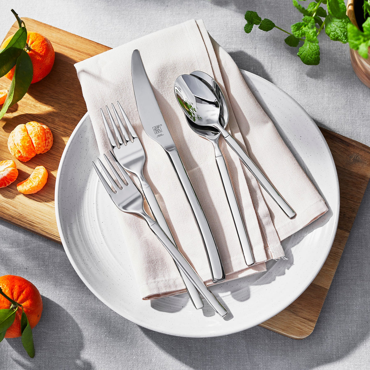 ZWILLING Opus 45-Piece Flatware Set
