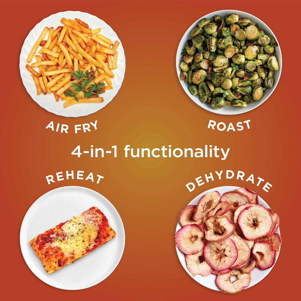 Ninja Pro 4-in-1 Air Fryer Bone