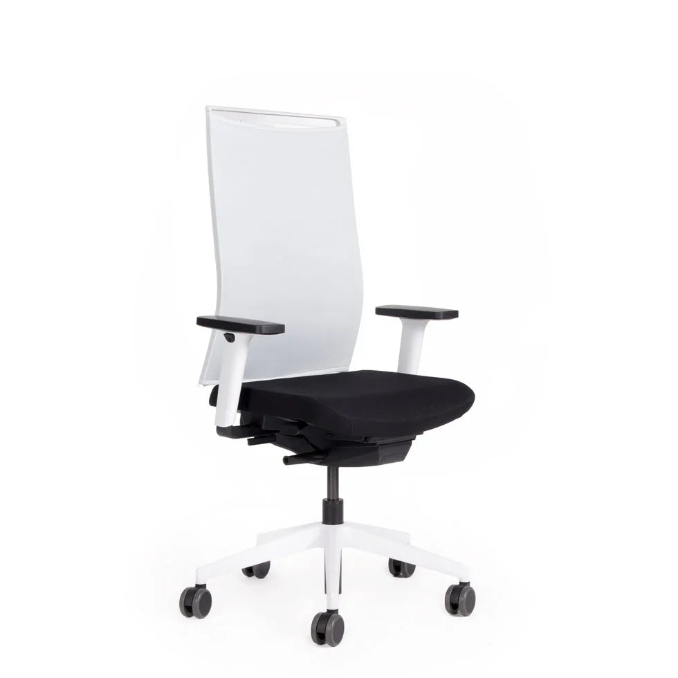 2026 Ergonomic office chair Agilis Matrix MT12 with mesh backrest and slow tilt, special edition, pure black (edition 2025).