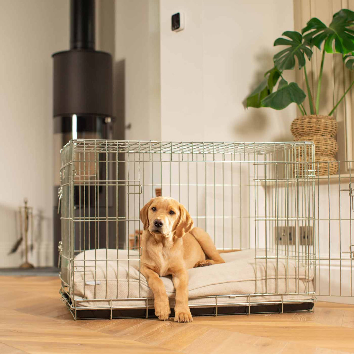 Dog Cushion in Natural Herringbone Tweed