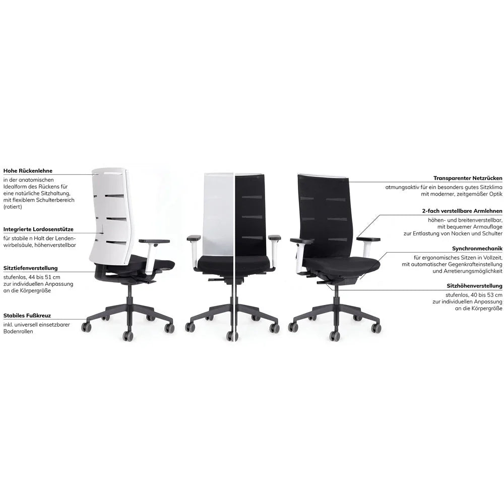 2026 Ergonomic office chair Agilis Matrix MT12 with mesh backrest and slow tilt, special edition, pure black (edition 2025).
