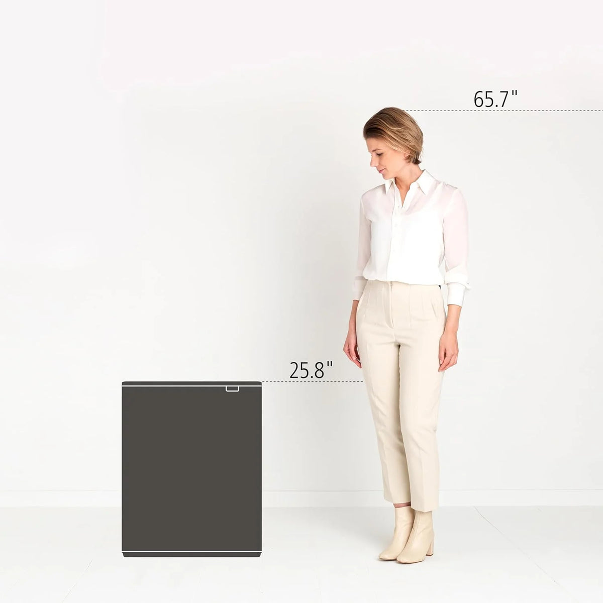 2026 Brabantia bin, matt steel, finger tracker, 2 x 30 L