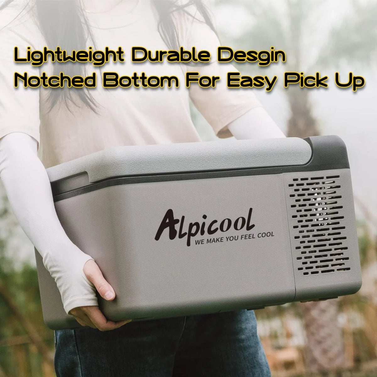 2026 Alpicool C12 12L Cool Box 12 V Mini Fridge Electric Compressor Car Fridge Camping Freezer Box Small Portable for Car, Tr