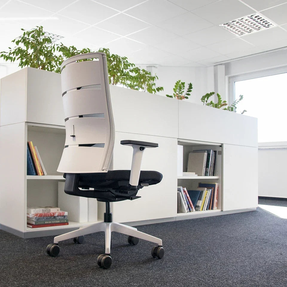 2026 Ergonomic office chair Agilis Matrix MT12 with mesh backrest and slow tilt, special edition, pure black (edition 2025).